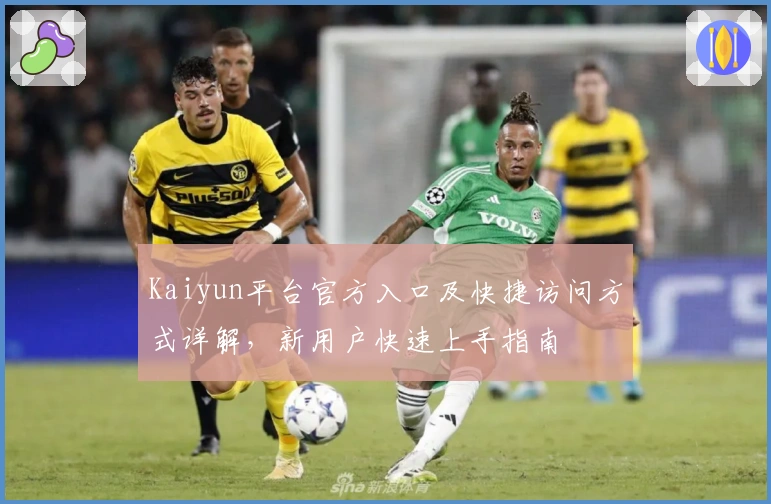 Kaiyun平台官方入口及快捷访问方式详解，新用户快速上手指南